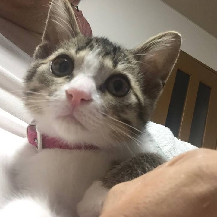 E8173b79 fc3a 49a4 8781 26e7dbc534c2 1654961289034