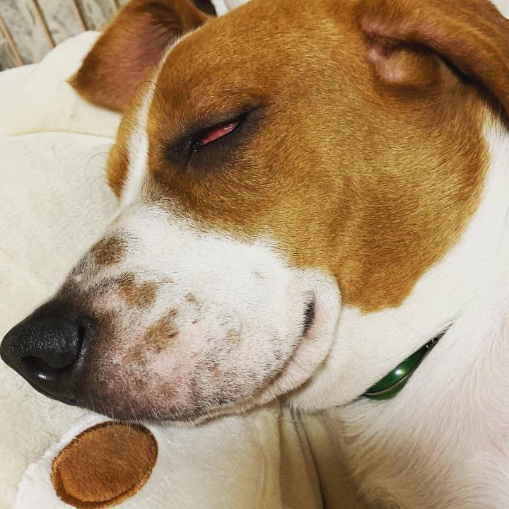 E8174e03 2139 431f 92c8 3148f656edc6 1559005336685