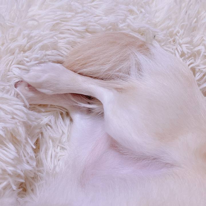 E8178a29 3077 4049 aac0 51a1a2185e92 1680177677462