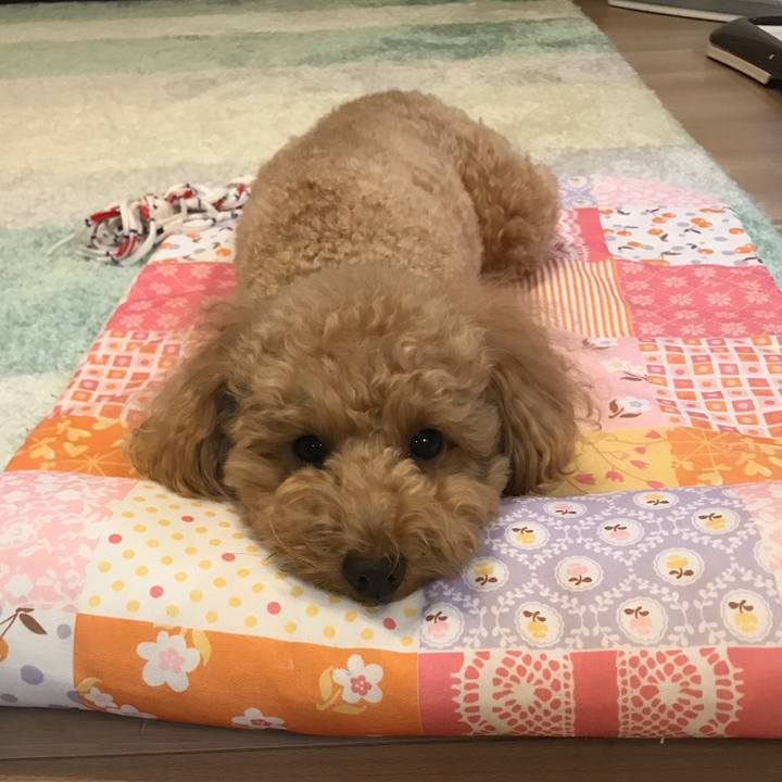 E817b997 151c 487e 91e3 149b35ef1285 1511273318193