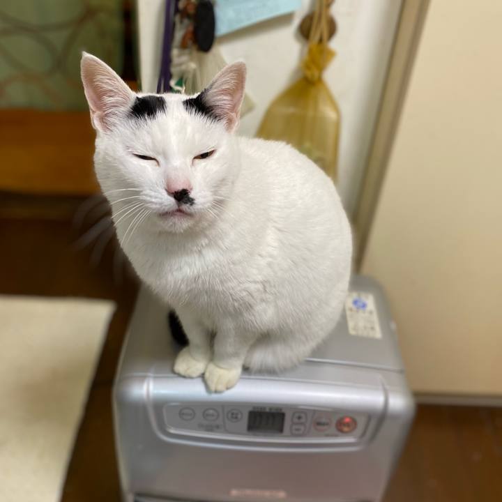 E817bc5e 2e82 45eb 82c4 00687bd05f84 1667791909587