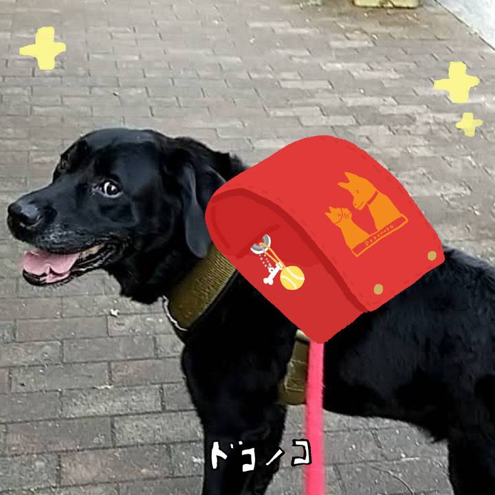 E817fb0f 1df5 45e6 9ad6 8aad33995634 1744320273273