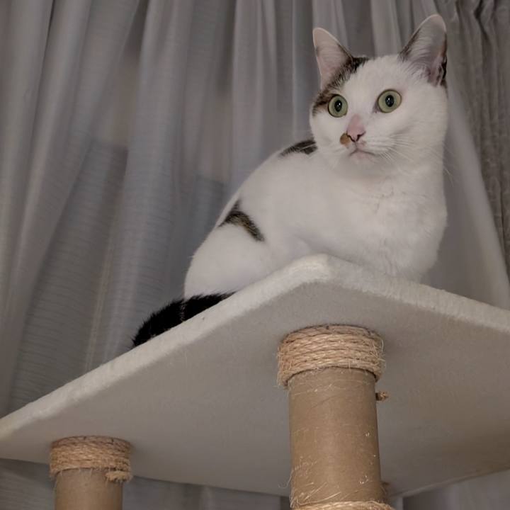 E81832ac 575b 4c71 b4b0 bff9d68be879 1743850374242