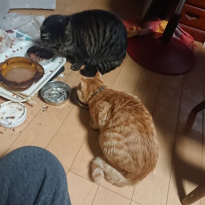 E818548a fbce 4591 bb85 3e08e2e18e8c 1639255892794