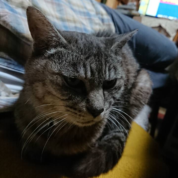 E8189649 21e1 497f 99c0 e5231cbbbaf9 1570101868714