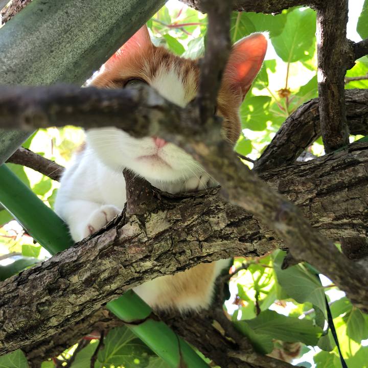 E818a36d dd5a 4e3a ad37 abd46c276fc6 1560850055350