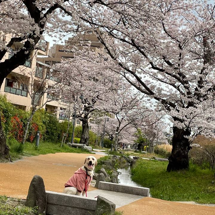 E818cd94 53c7 48d6 a285 b0da950b6fce 1648736411511