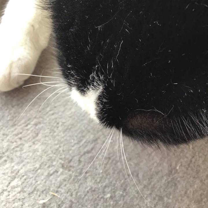 E81907f1 6d69 48be b269 63446418daab 1649576662940