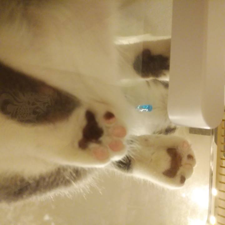 E819129d 9f1e 4882 a9d0 733643ac16be 1588512793625