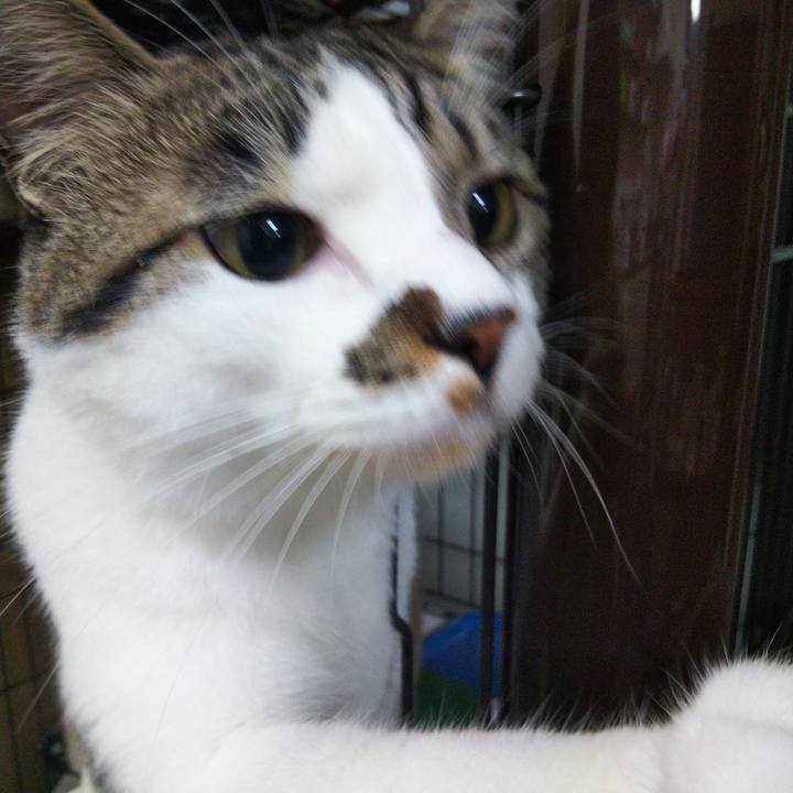 E81919a4 e43e 4cb3 be0e 279d3b85a29e 1651063851128