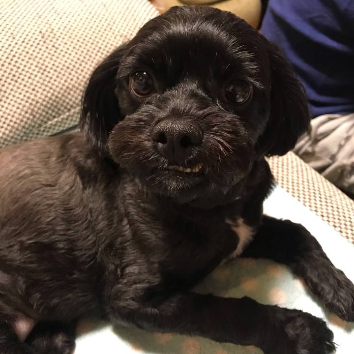 E81937b1 045d 42f4 be09 7d7411c5e19f 1569848338632