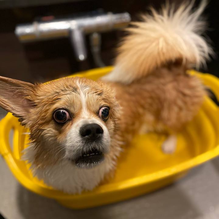 E819530a fdea 487a b32d 7f3206c969f4 1683729284769