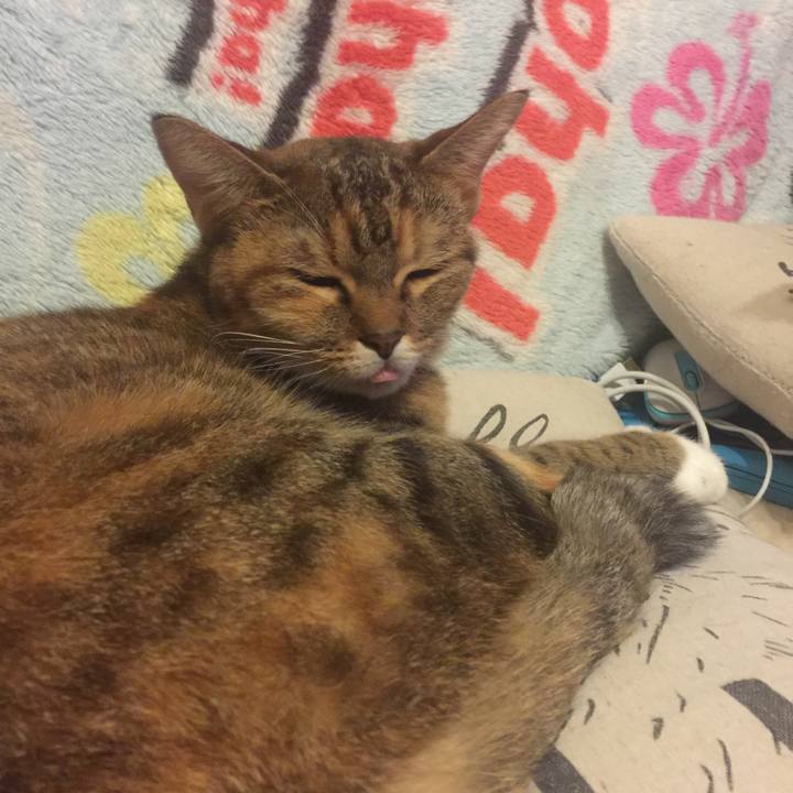 E819648f 3fa4 4955 a761 d7b9d493acee 1572346931765