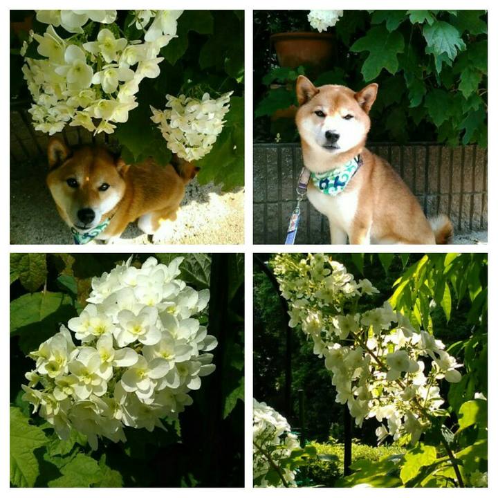 E819819b c22a 410c 8d93 93dc41ce2a5f 1559783804417