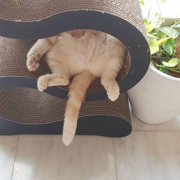 E819bad2 f61f 4300 af2b dcfc5d68bfe7 1559376143964