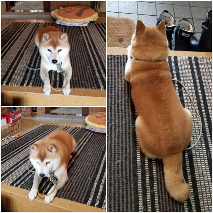 E819d3f8 aede 4b88 8ccc 51fb4df93989 1643599692595