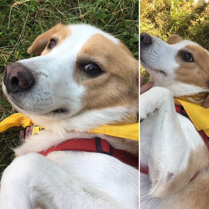 E819fc10 6eb7 4396 ba3f 83adcbd57d94 1510233311631