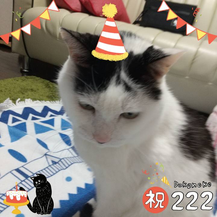 E81a043b f150 4007 bad4 2ccc236c1e28 1645512124235