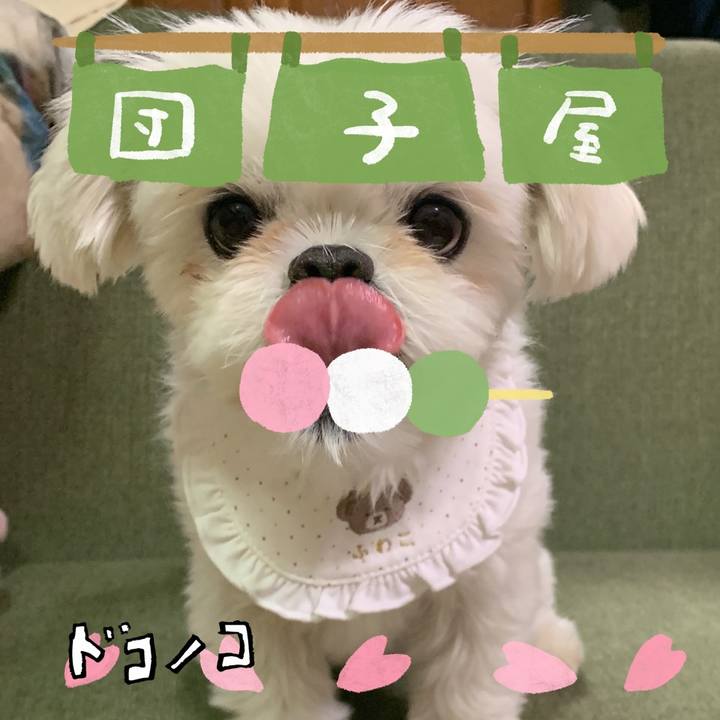 E81a10c4 b6e9 4362 b6a3 fb278aa7376a 1712530070980