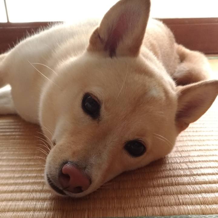 E81a2e7c 3b53 4b1f 9b52 8e8517cce35f 1531437808545