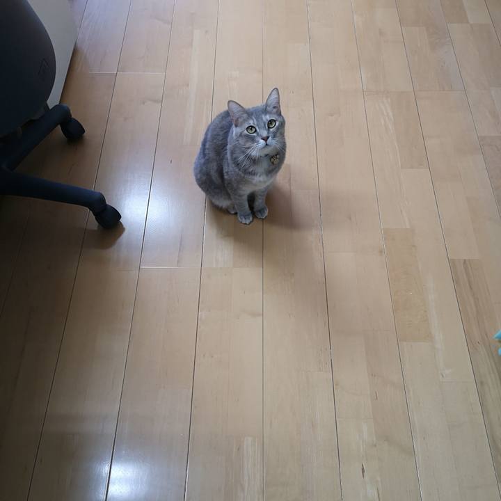 E81a7487 0361 4bca ae46 0554c6a31c8a 1575602601598