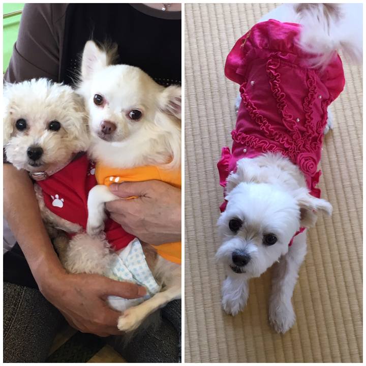 E81a8718 1795 4a84 9e1b b9fd5a371bfe 1539598193169