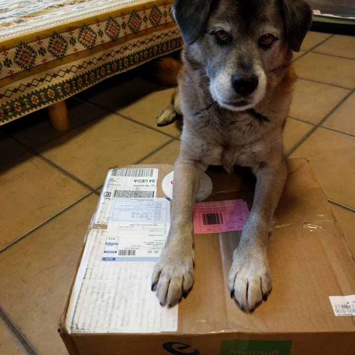 E81ab3a8 9ccd 4f56 bcee fa153ab3e2d5 1519197153664