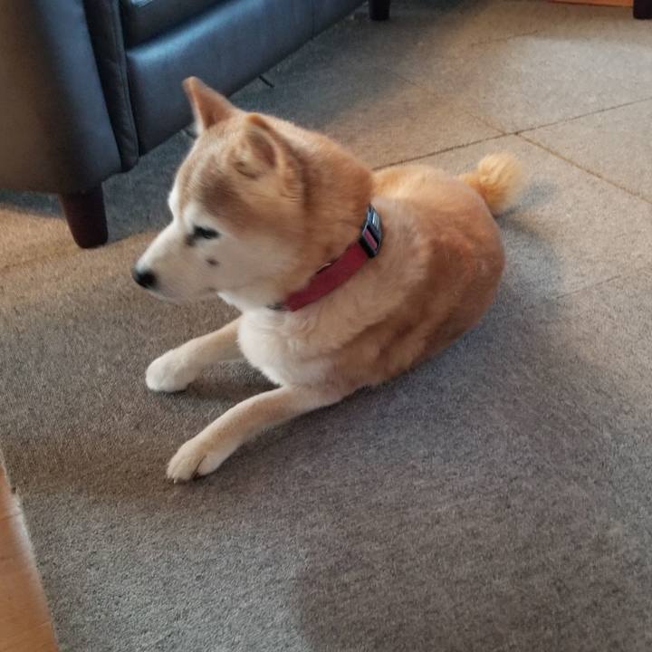 E81abc55 d8a8 4597 b542 e601deb4a265 1755055146780