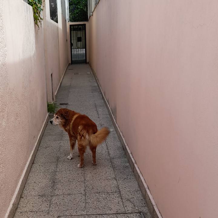 E81ae8ca 0644 4636 8103 e5d9f20908f1 1763260181752