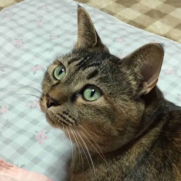 E81ae917 ca30 4ed0 9455 bf7354e917d6 1730519969636