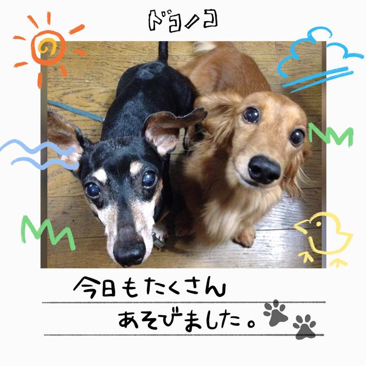 E81af00c 8069 45f2 a6ed ea37de005779 1755310577664