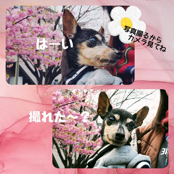 E81b1b81 f1d1 4091 a647 7c2dca97230b 1740395437979