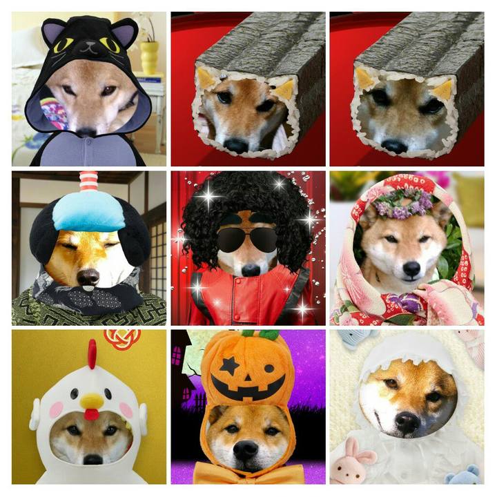 E81b26cf 7cd2 416f 9fea 55d65e0f835e 1509253235008