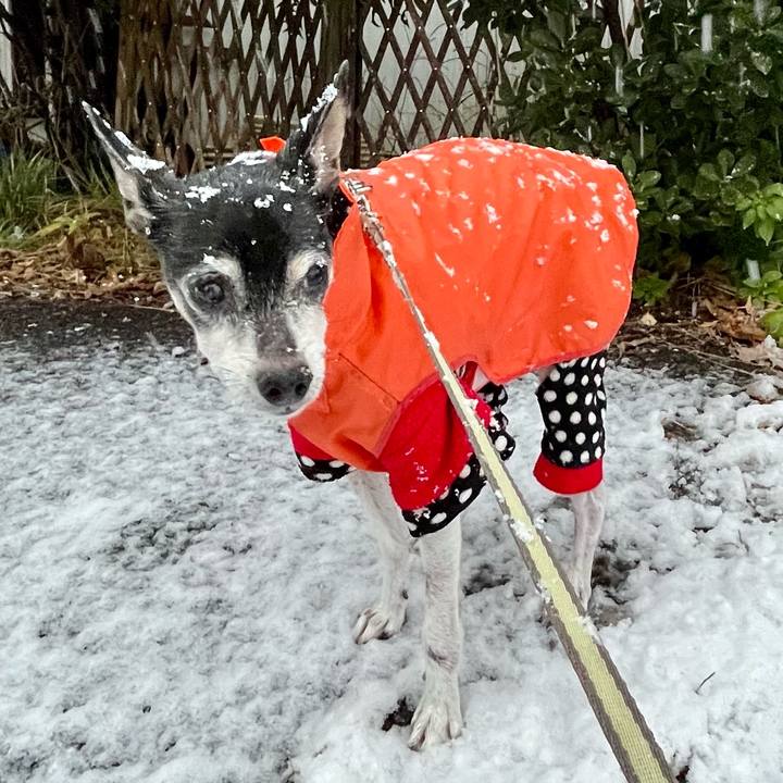 E81b59d3 6fde 4af3 9933 feff6135a386 1640909518487