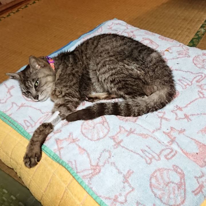 E81b6cd5 c5d1 4f59 8185 1d10116d77d3 1595502932117