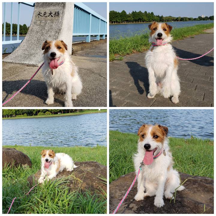 E81b9277 0f1d 4f05 9c62 361a10beaf64 1566634047330