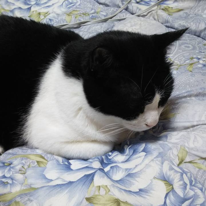 E81be283 0b44 43b7 b78e 2e50c497c5fc 1555019426197