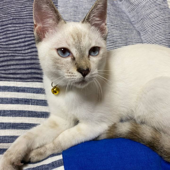 E81bf0da 042e 4266 963a 4be29845048d 1630715156170