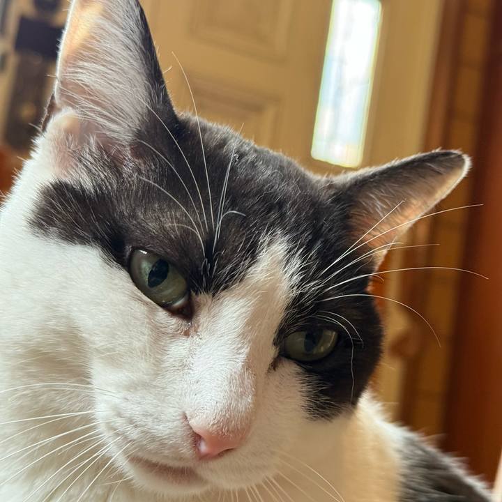 E81c07da 4916 46c5 bc36 638871b3621e 1750471724961