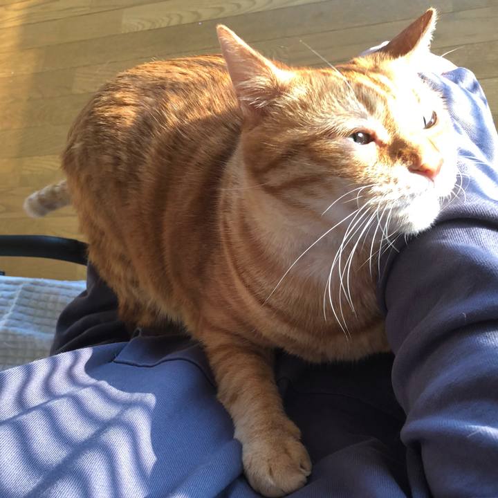 E81c0e46 a51f 4169 a644 7f0c2d8c7ece 1650403106250