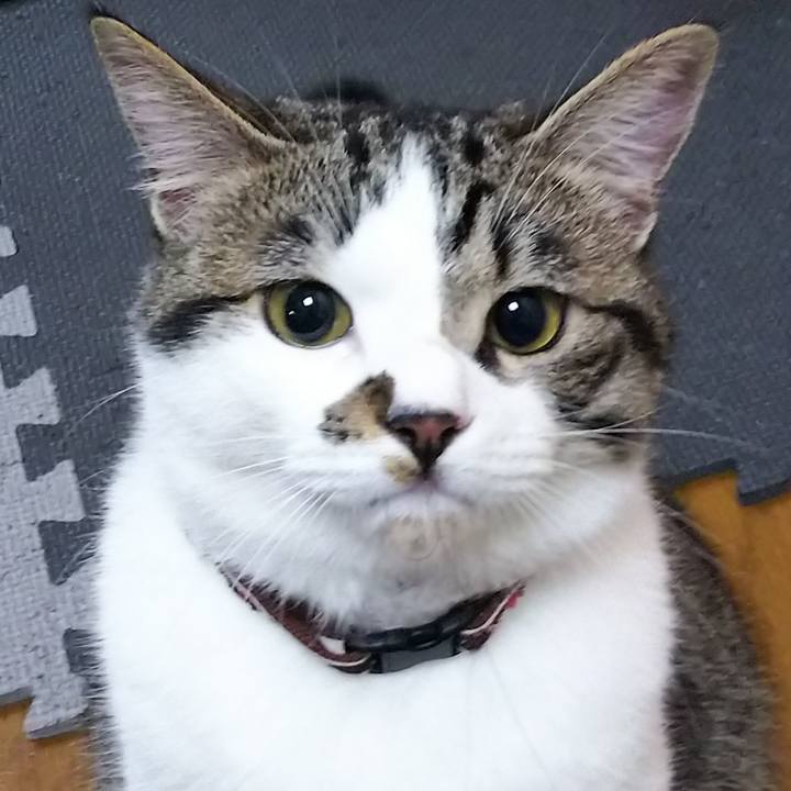 E81c138f 07e2 4a4d 8371 28b1228d2015 1621250378357