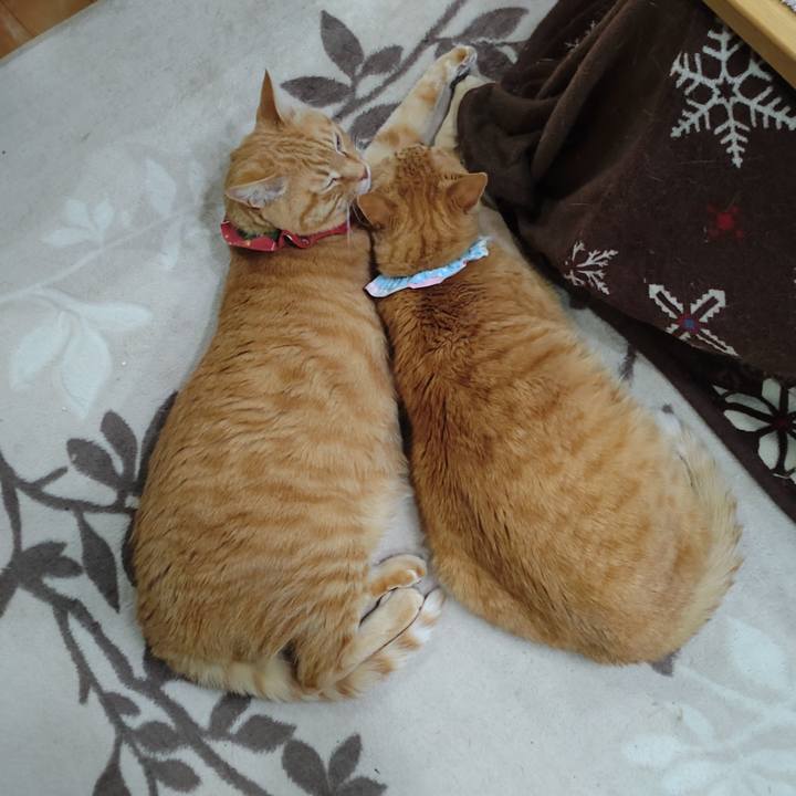 E81c22ea 00da 4b06 8ae7 709e9149f710 1642745438981