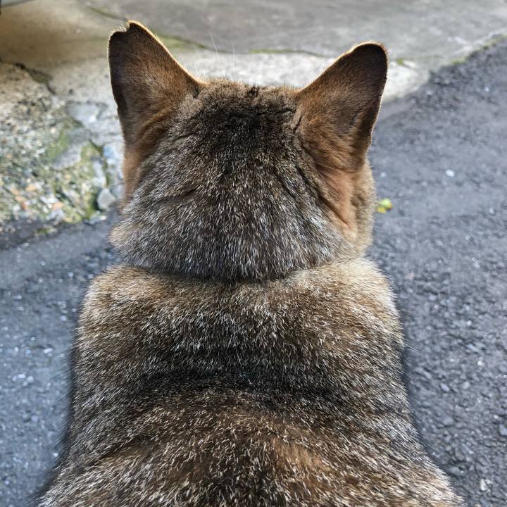 E81ce951 7bdc 4782 a335 8554d549b36b 1522501962496