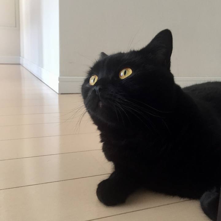 E81d05b1 cb33 49c7 8167 c187d7bde9d3 1565160482071