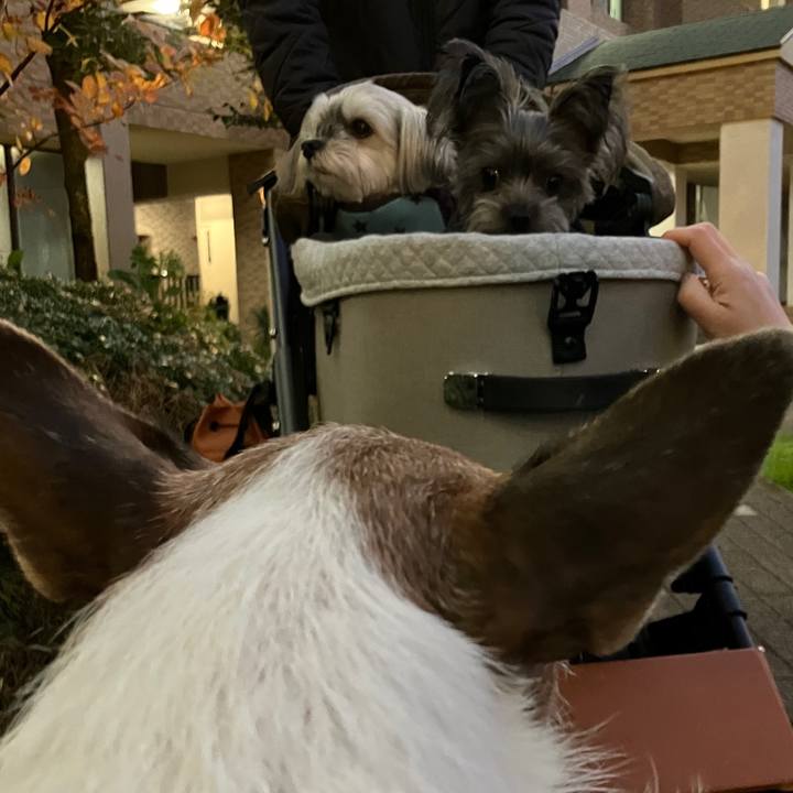 E81d0bd1 cc38 40d8 ae78 bf8b39e5c4c7 1700960531253