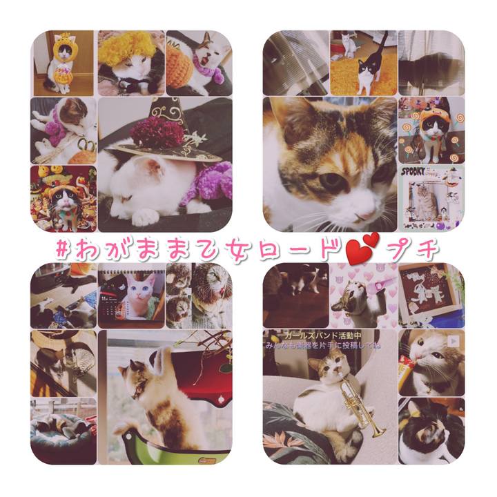 E81d3e5a c0d8 4e20 a398 0dbdeab6886c 1572610422367