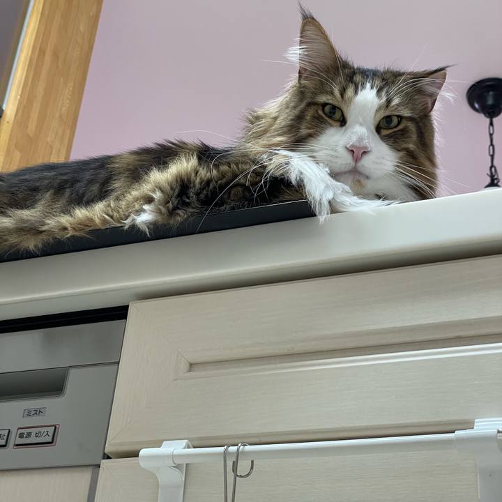 E81d526c 3dff 4457 b77d 970071ae4097 1672437430226