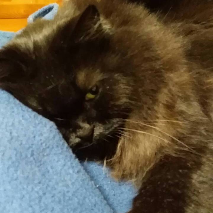 E81d8a1b 7b74 4d66 b1d5 7c7a88a1c32e 1513128057686