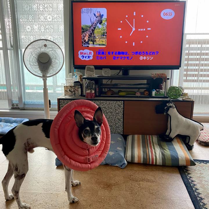 E81d9248 514e 4c68 b56c c1c2226b8275 1633471959650