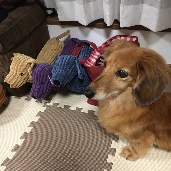 E81daac4 60c5 4684 9ef6 02690799eeee 1617109377963